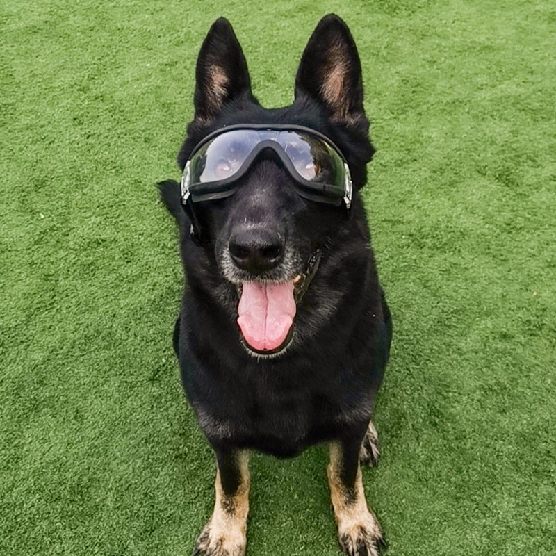 Large dog-ink sunglasses - Premium 0 from AdventureParent - Just $30.19! Shop now at AdventureParent