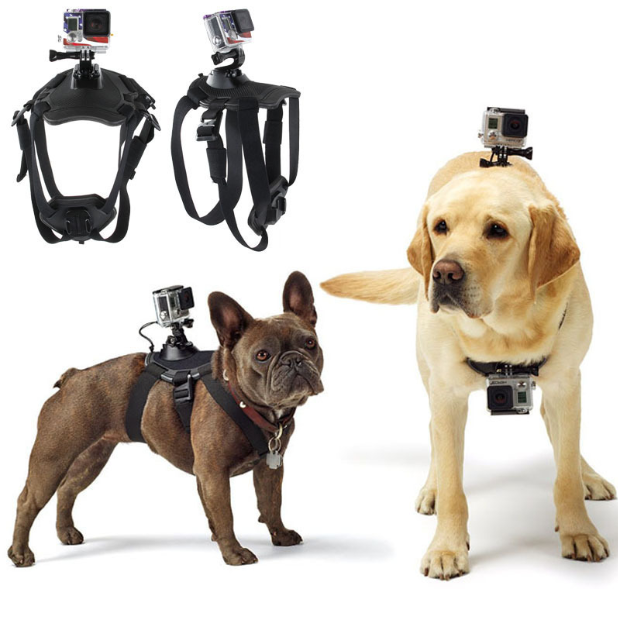 GoPro Hero Dog Strap Belt Harness - Premium 0 from AdventureParent - Just $24.83! Shop now at AdventureParent