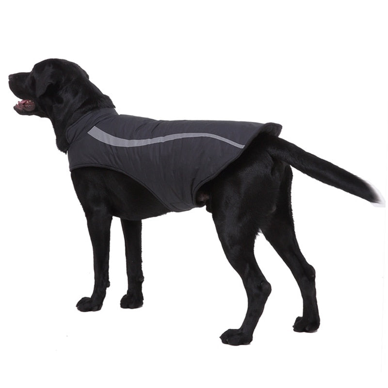 Dog clothes autumn winter clothes winter coats - Premium 0 from AdventureParent - Just $39.81! Shop now at AdventureParent